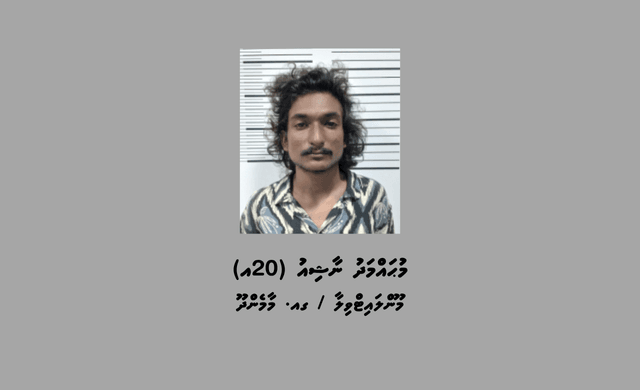 Nashiu 43dfd253a1