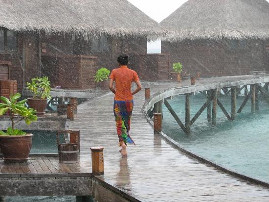 A rainy day