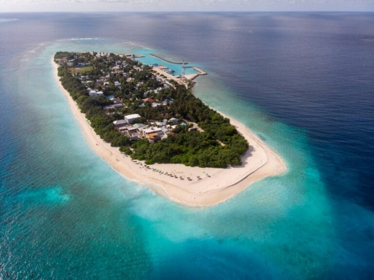 އުކުޅަހުގައި ފަތުރުވެރިއަކު ގެނބިގެން މަރުވެއްޖެ