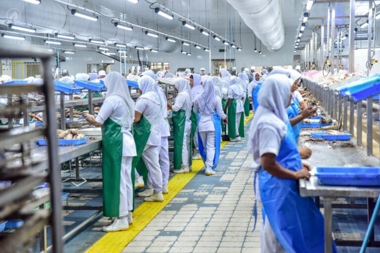 މަހުގެ އައު އުފެއްދުންތައް ބާޒާރަށް ނެރުމަށް 8.3 މިލިޔަން ޑޮލަރުގެ އެހީ ރާއްޖެއަށް ލިބިއްޖެ