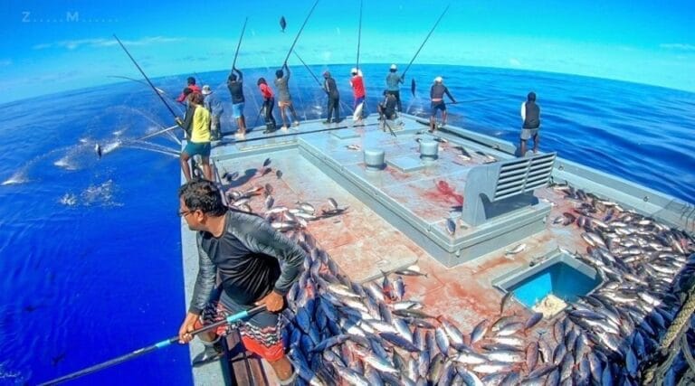 މަސްވެރިންނަށް ރޯދަ އިނާޔަތް ލިބޭނެ އިންތިޒާމް ހަމަޖެއްސުމަށް ސަރުކާރުން މަސައްކަތްކުރާނެ: ރައީސް