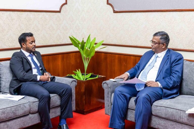 ތިލަމާލެ ބްރިޖްގެ މަސައްކަތް އަވަސްކުރަން މަޝްވަރާކޮށްފި