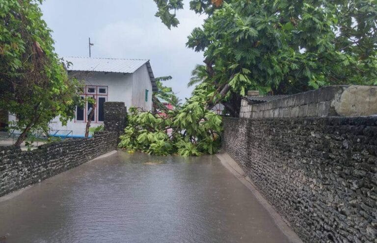 ވިއްސާރައިގައި ގެއްލުންވި 5 ރަށުގެ އެސެސްމަންޓް ދަނީ ހަދަމުން: އެންޑީއެމްއޭ