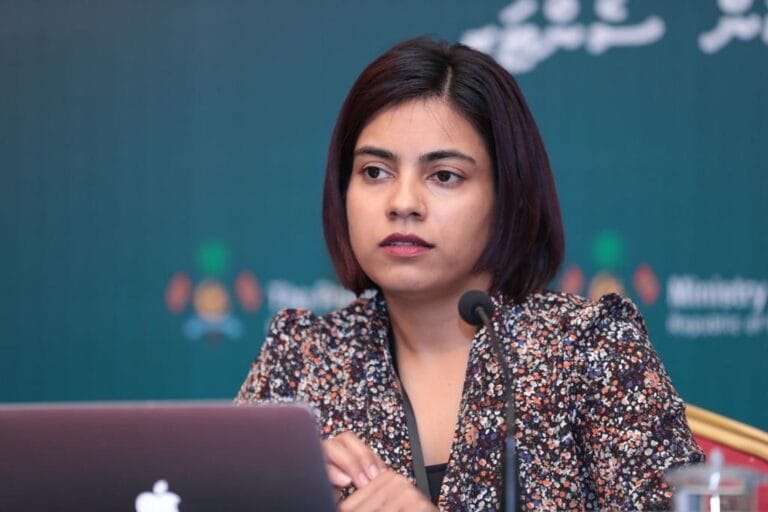 ނޭޝަނަލް ފައިނޭންޝަލް ކޯޕަރޭޝަންގެ ސީސީއޯއަކަށް ވިސާމް