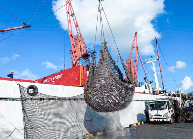 އައިއެސްޑީބީން މިފްކޯއަށް 64.65 މިލިޔަން ޑޮލަރުގެ ލޯނެއް