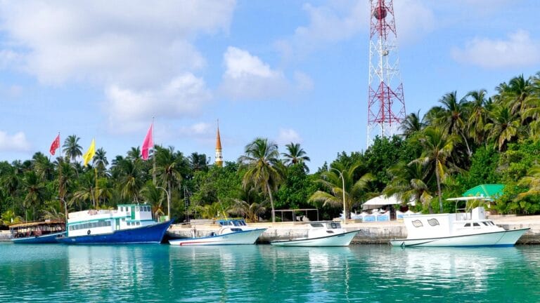ތޮއްޑޫގައި ބަރަހަނާ ހާލުގައި އުޅުނު ފަތުރުވެރިޔަކު، ފުލުހުންގެ އަމުރަށް ނުކިޔަމަންތެރިވުމުން ހައްޔަރުކޮށްފި