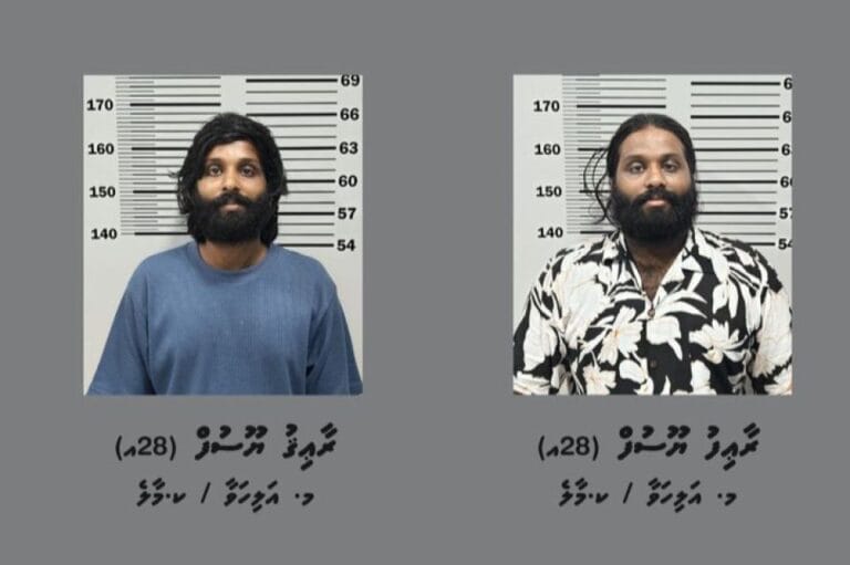 މަސްތުވާތަކެއްޗާއެކު ދެބެން ހައްޔަރުކޮށްފި