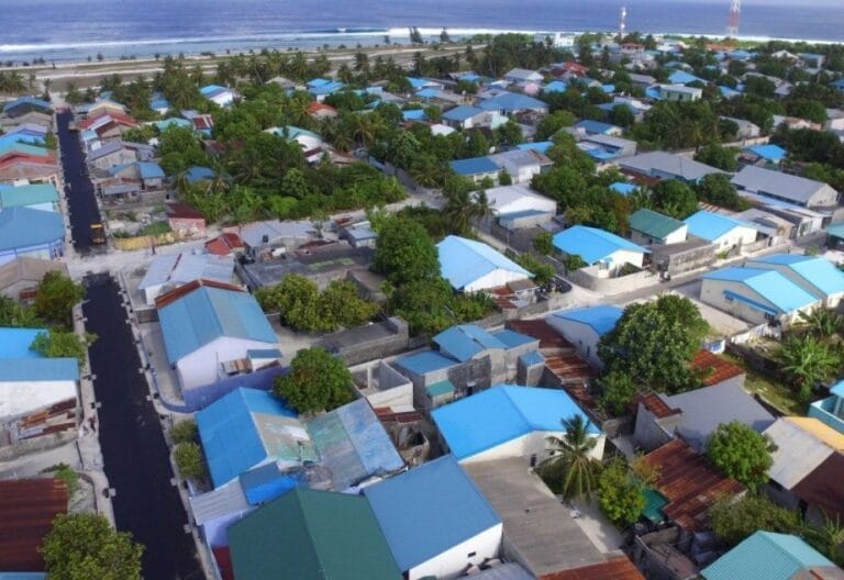 ވިލިނގިއްޔަށް އެތެރެކުރަން އުޅުނު މަސްތުވާތަކެތި ހޯދައި ފުލުހުންގެ ބެލުމުގެ ދަށަށް ގެނެސްފި