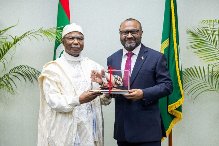 އޯއައިސީގެ ސެކްރެޓަރީ ޖެނެރަލްއާއި މިނިސްޓަރ ޝަހީމް ބައްދަލު ކުރައްވައިފި