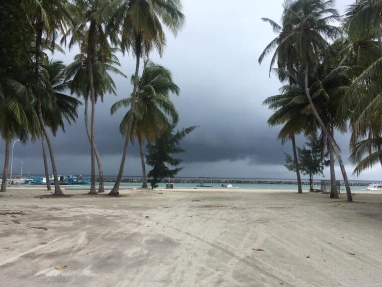 ބޮޑު ސަރަހައްދަކަށް ވައިޓް އެލާޓް ނެރެފި