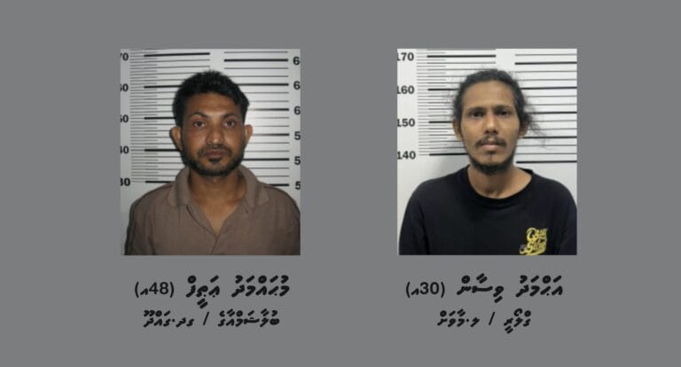 ސައިކަލެއް ވަގަށް ނަގައިގެން ދުއްވިކަމުގެ ތުހުމަތުގައި ހުޅުމާލެއިން ދެ މީހަކު ހައްޔަރުކޮށްފި