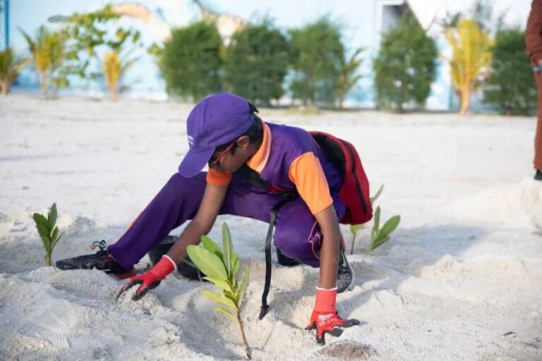 ސްކޫލްތަކުން ގަސް އިންދުމުގެ ޕްރޮގްރާމްތަކެއް ގެންދަނީ