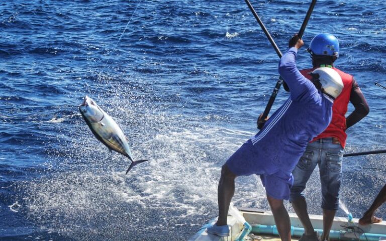 މިފްކޯ އިން މަސްވެރިންނަށް 2.97 މިލިއަނަށްވުރެ ގިނަ ރުފިޔާ ދޫކޮށްފި
