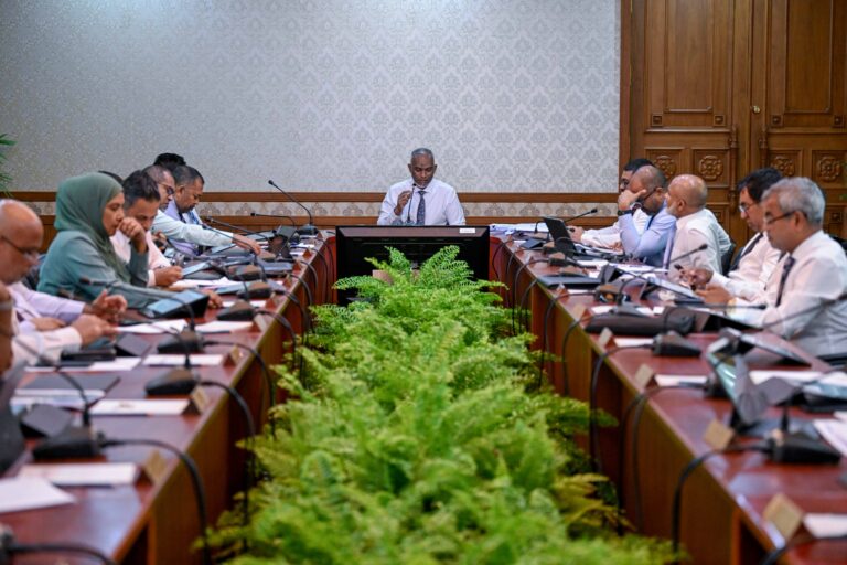 އެސްޑީއެފްސީގައި އޮންނަ ސަރުކާރުގެ ހިއްސާ ބީއެމްއެލްއަށް ވިއްކާލަން ނިންމައިފި