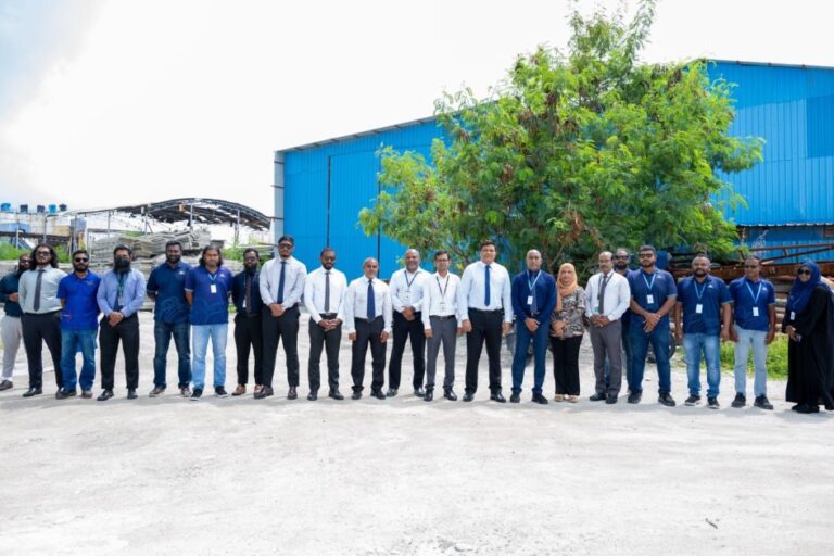 ސަރުކާރު ޓެކްސީ ލައިންގެ ކާރުތައް ޕާކްކުރާ ސަރަހައްދު އަމީން ބައްލަވާލައްވައިފި