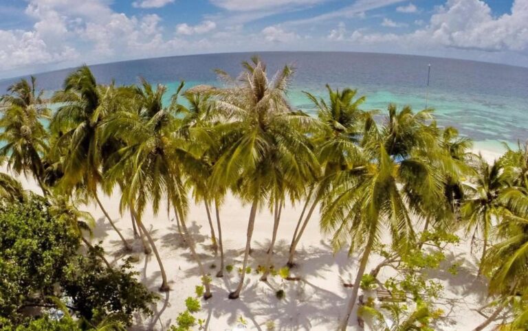 މާފުށި ކައިރިން ފީނަން ފޭބި ފަހުން ގެއްލުނު މީހާ މަރުވެފައި އޮއްވާ ފެނިއްޖެ