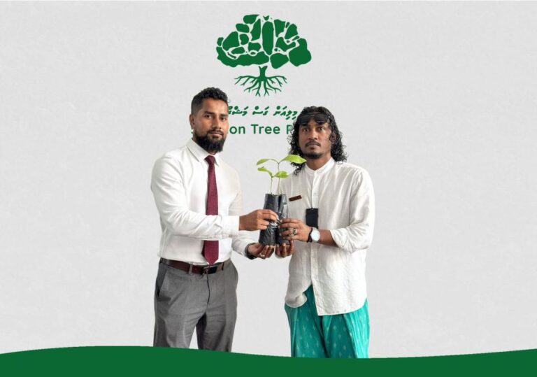 ހައިވަކަރު ގަސްތައް ހަވާލުކުރަން ފަށައިފި