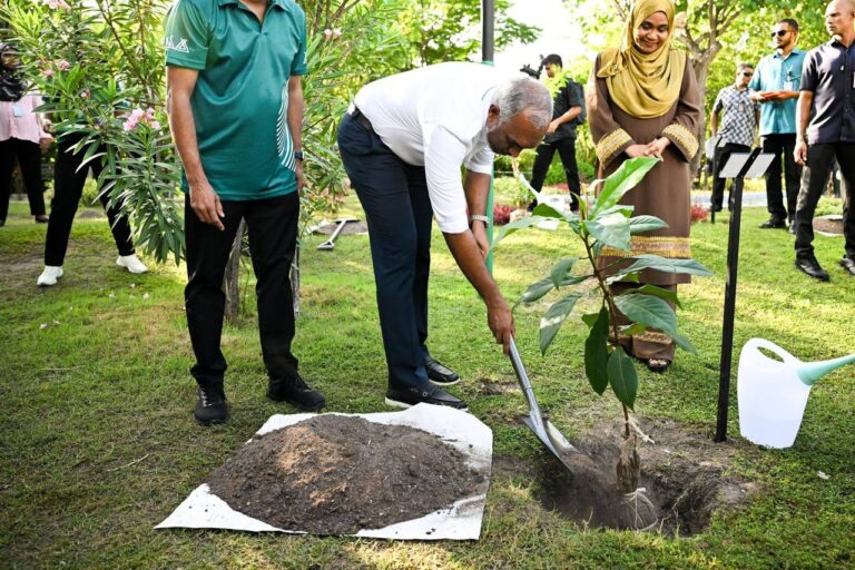 ތިމާވެށި ހިމާޔަތް ކުރުމަކީ، މާދަމާގެ އުފާވެރިކަމަށްޓަކާ އަދާކުރާ ޤައުމީ ޒިންމާއެއް: ރައީސް