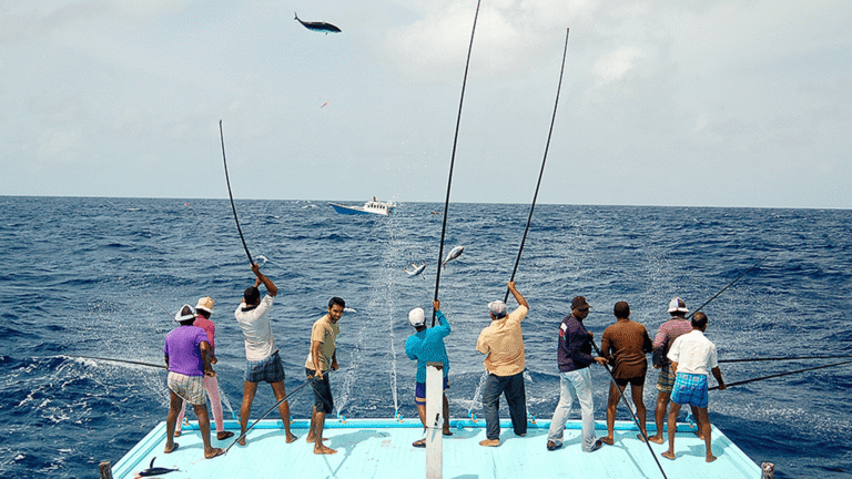 “މޯލްޑިވްސް ޓޫނާ ރޭސް” ގައި ބައިވެރިވުމުގެ ފުރުޞަތު ހުޅުވާލައިފި