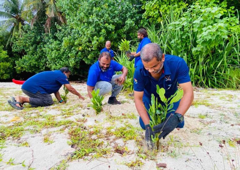 ސްޓެލްކޯއިން މި ހަފްތާގައި ވެސް 15،000 ގަސް އިންދައިފި