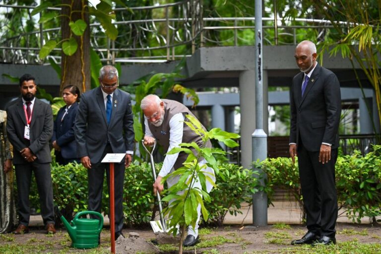 މޯދީ ސަލްޓަން ޕާކްގައި ގަހެއް އިންދަވައިފި