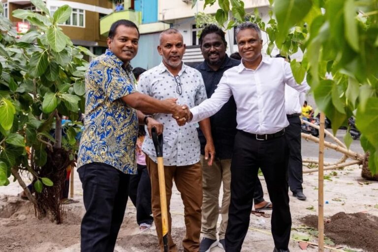 މާލޭ ސިޓީ ކައުންސިލުން ހަ މަސް ތެރޭގައި 4،500 ގަސް އިންދައިފި