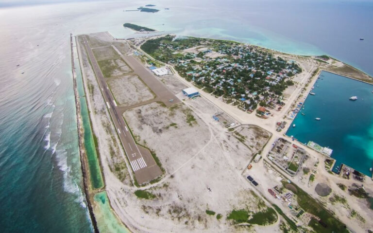 މާމިގިލީ ކައިރިއަށް ފީނަން ފޭބި ކުއްޖަކު މަރުވެފައި އޮއްވާ ފެނިއްޖެ