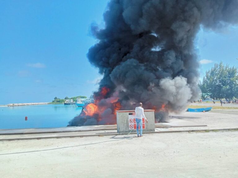 ރޯވި ދޯނީގެ ވެރިޔާ އިތުރު ފަރުވާއަށް މާލެ ގެނެސްފި
