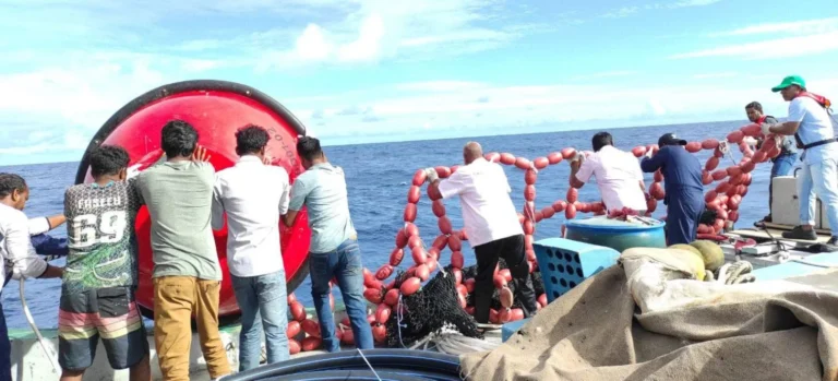 މިހާތަނަށް މުޅިން އަލަށް 22 މަސް ކަނދުފަތި އަޅައިފި
