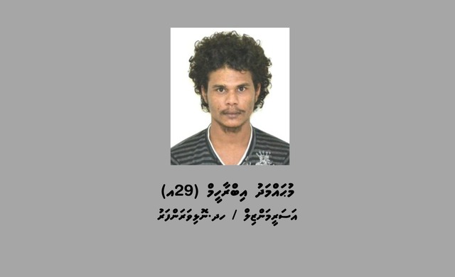 Whatsapp image 2025 07 28 at 00.15.54