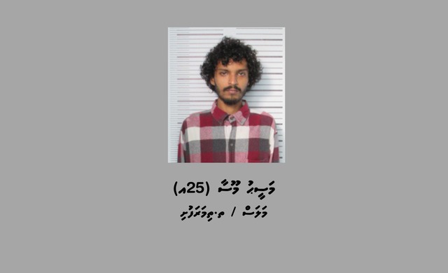 Whatsapp image 2025 07 31 at 11.30.44