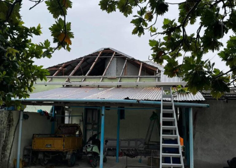 ވިއްސާރައިގައި މުރައިދޫއަށް ބޮޑެތި ގެއްލުންތަކެއް ވެއްޖެ