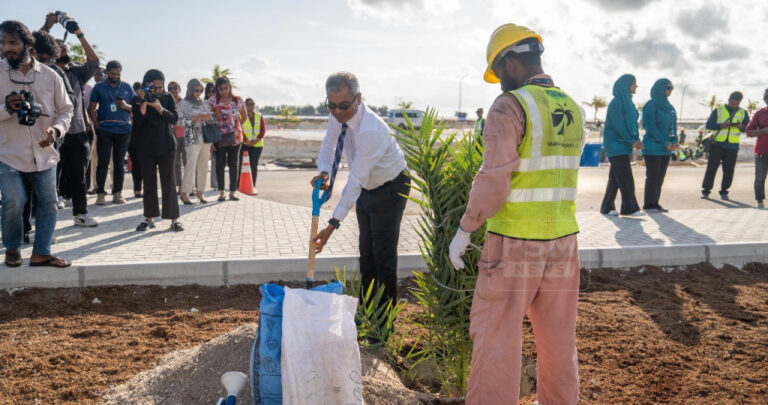 5 މިލިޔަން ގަސް ޕްރޮގްރާމަށް އެމްއޭސީއެލްއިން އެއް ލައްކަ ގަސް އިންދަން ފަށައިފި