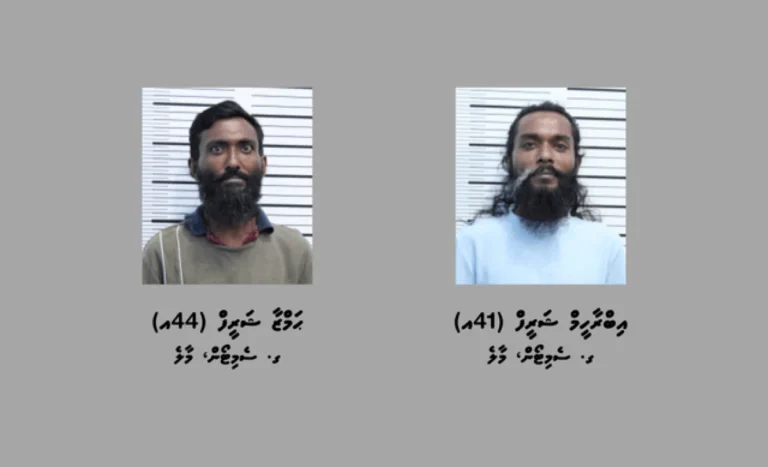 މަސްތުވާތަކެތީގެ ވިޔަފާރިކުރާކަމުގެ ތުހުމަތުގައި ދެބެއިން ހައްޔަރުކޮށްފި