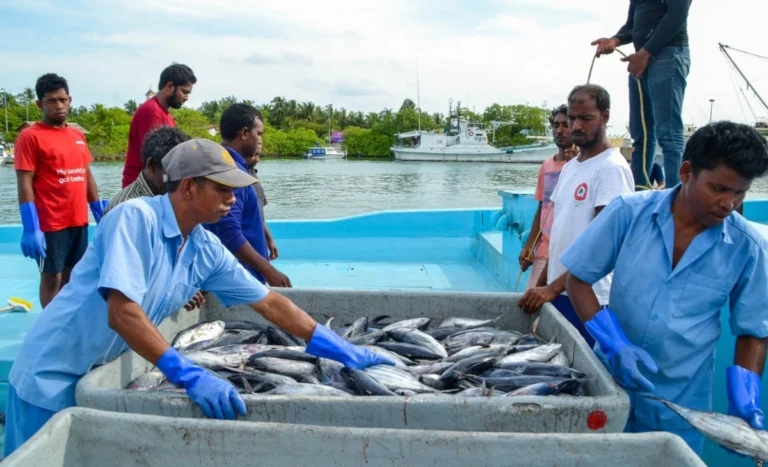 މަސްވެރިންގެ ދަފްތަރުގައި ތިބި، ޝަރުތު ހަމަވާ 25 މަސްވެރިއަކަށް ލޯނު ދޫކޮށްފި