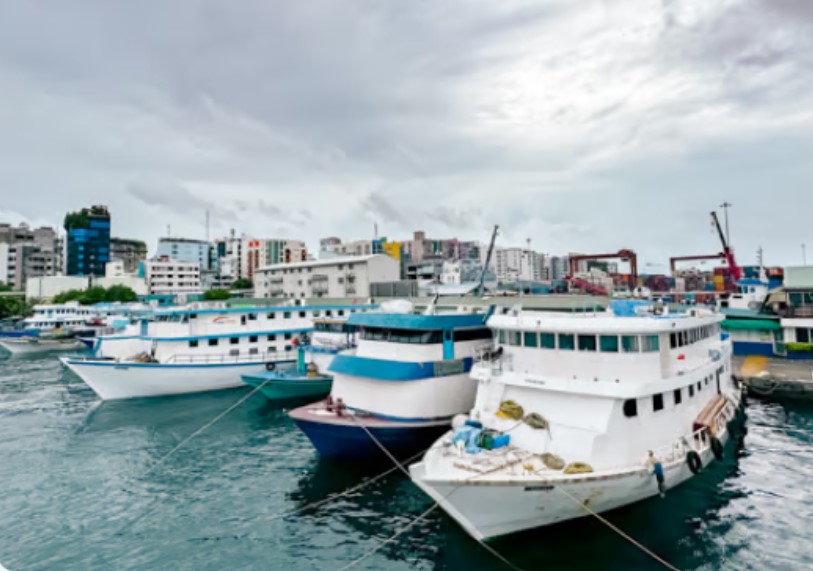 North harbour mpl