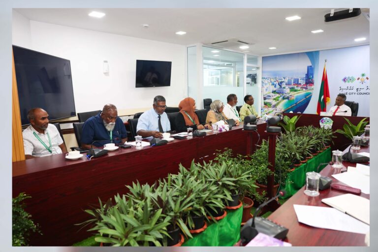 ދިވެހި ބޭސްވެރިކަމަށް ބޭނުންވާ ގަސްތައް މާލޭގައި އިންދަނީ