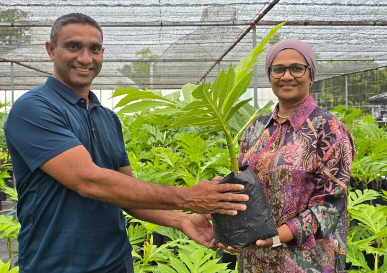 ފުޑްސެކިއުރިޓީ ޕްރޮގްރާމްގެ ދަށުން ށ. އަތޮޅުގެ ހަތަރު ރަށަކަށް ގަސް ފޮނުވައިފި