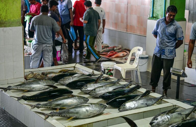 މަސް މާރުކޭޓު ދޫކުރުމުގައި މައްސަލަތަކެއް ހުރުމުން އެއްބަސްވުން ބާތިލުކުރަނީ