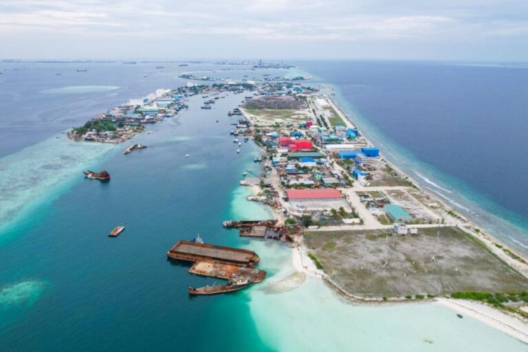 ލޮރީ ދިޔައީ މީހެއްގެ ގައިމަތިން، ހާލު ސީރިއަސް، އައިޖީއެމްއެޗްގައި ފަރުވާދެނީ