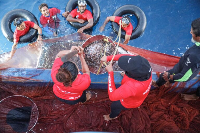 ޒުވާނުން މަސްވެރިކަމަށް ޝައުގުވެރިކަން ހުރިނަމަ މިޕްރޮގާމުގައި ބައިވެރިވާންވީ