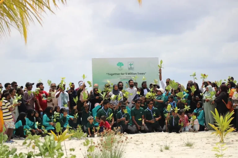 ދާންދޫގައި ތިންހާސް ގަސް އިންދައިފި