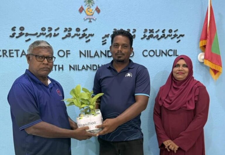 ހަތް އަތޮޅަކަށް ހައިވަކަރު ގަސް ބެހުމުގެ މަސައްކަތް ފަށައިފި