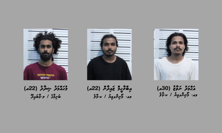 އަލަށް އެކުލަވާލި ގާނޫނުގެ ދަށުން ހައްޔަރުކުރި މީހުންގެ ފޮޓޯ އާންމުކޮށްފި 