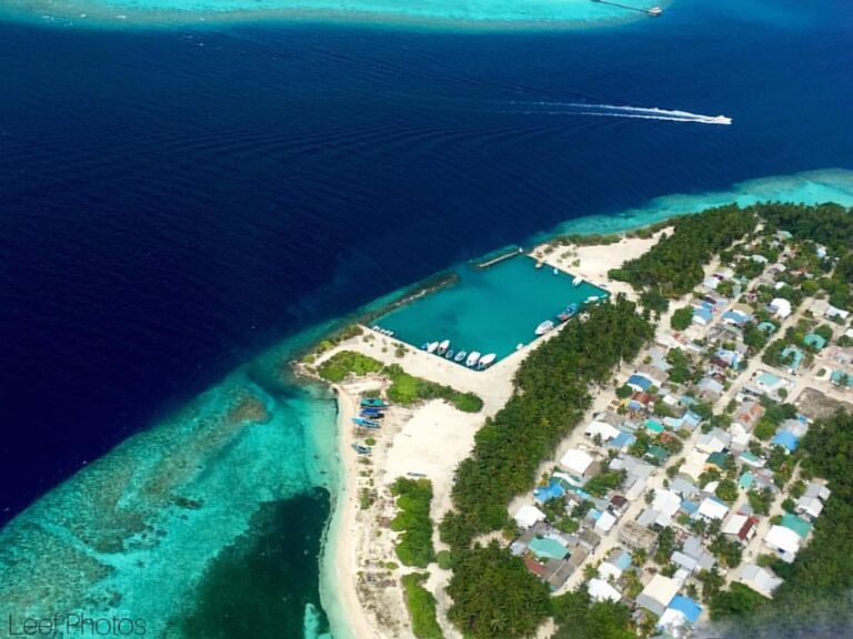 ދޮންފަނުގެ ގޮނޑުދޮށް ހިމާޔަތްކުރުން ކުރިއަށްދާނެ: މުއްތަލިބު
