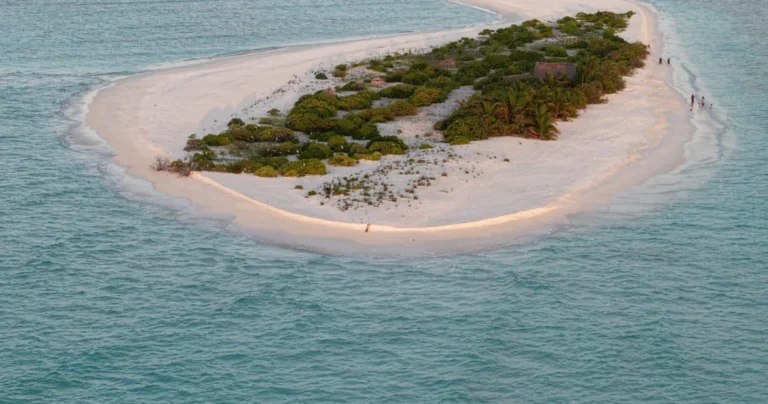 އެއްފަހަރާ އެންމެ ގިނަ މީހުން ފީނައިގެން ރެކޯޑެއް ހަދަން “ބާނި” ހަރަކާތް ތައްޔާރުވަނީ