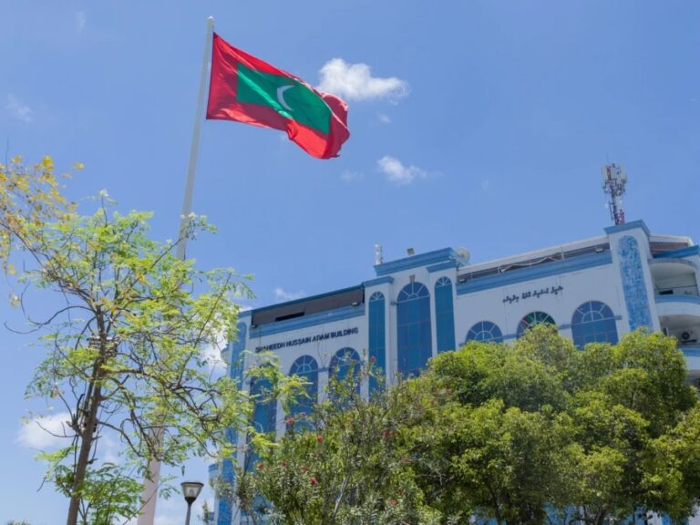 ޝަރީއަތުގައި އޮތް މައްސަލައެެއްގެ ހެކީންނަށް ނުފޫޒުފޯރުވި މީހަކު ހައްޔަރުކޮށްފި
