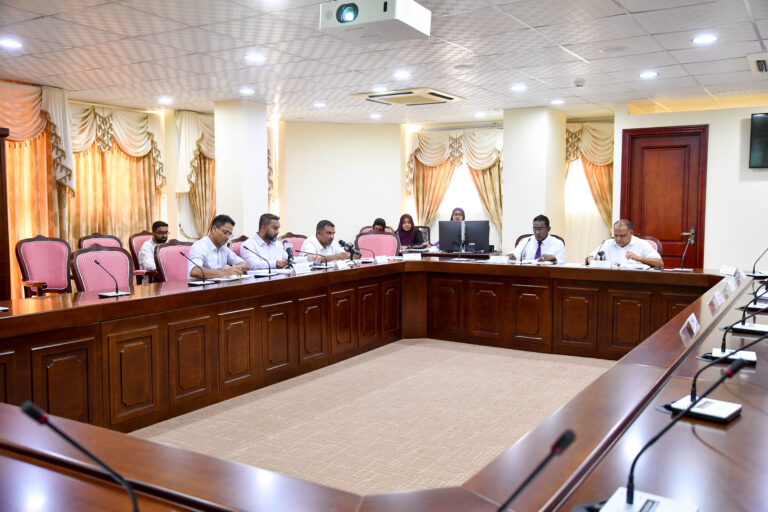 އައު މީޑިއާ ކޮމިޝަނަށް ވަގުތީ މެންބަރުން އައްޔަނުކޮށްފި