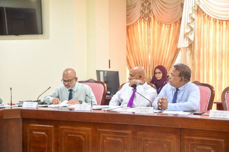 ފެނަކަ ކޮރަޕްޝަން ގަރާރު ކޮމިޓީއަށް