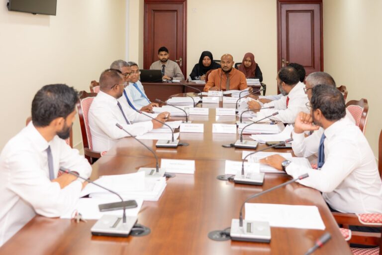 ތުއްތުކުދީންގެ ގާނޫނީ ބެލެނިވެރިކަން ނަގާ ފަރާތްތަކަށް ޗުއްޓީއެއްދޭން ހުށަހަޅައިފި